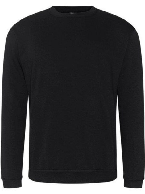 Pro sweatshirt
